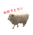 ろくと、仲間たち（個別スタンプ：16）