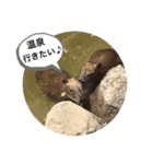 ろくと、仲間たち（個別スタンプ：21）