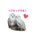 ろくと、仲間たち（個別スタンプ：22）