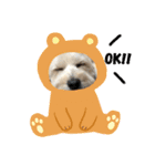 comoivスタンプ（個別スタンプ：4）