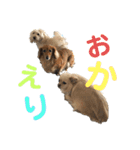 comoivスタンプ（個別スタンプ：15）