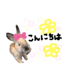 うさぎ★ほめ子（個別スタンプ：2）