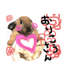 うさぎ★ほめ子（個別スタンプ：11）