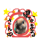 うさぎ★ほめ子（個別スタンプ：12）