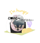 チワるんるん（個別スタンプ：6）