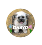 O.ノエル（個別スタンプ：6）