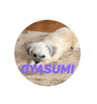 O.ノエル（個別スタンプ：12）