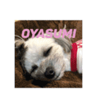 O.ノエル（個別スタンプ：15）