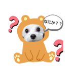 マルプーのクルミ2（個別スタンプ：4）