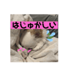 とぅぶちゃんスタンプ（個別スタンプ：6）