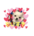とぅぶちゃんスタンプ（個別スタンプ：7）