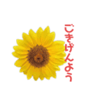 花の敬語スタンプ（個別スタンプ：3）