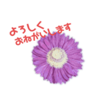 花の敬語スタンプ（個別スタンプ：6）