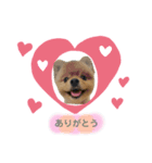 2003.01.01（個別スタンプ：3）