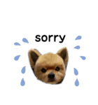 2003.01.01（個別スタンプ：6）