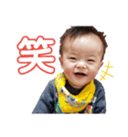 毎日ポンちゃん（個別スタンプ：5）