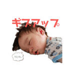 毎日ポンちゃん（個別スタンプ：13）