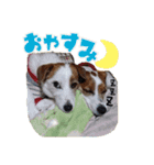 大福家 ☆アンナ☆なずな☆りょう☆（個別スタンプ：8）