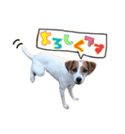 大福家 ☆アンナ☆なずな☆りょう☆（個別スタンプ：15）