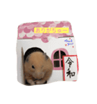 ミルク＆もちの日常スタンプ（個別スタンプ：7）