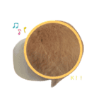 ミルク＆もちの日常スタンプ（個別スタンプ：8）