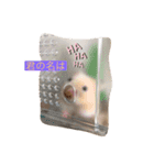 ミルク＆もちの日常スタンプ（個別スタンプ：15）