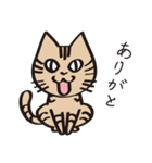とらねこライの日常編（個別スタンプ：2）