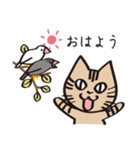 とらねこライの日常編（個別スタンプ：4）