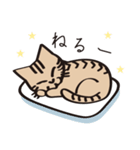 とらねこライの日常編（個別スタンプ：5）