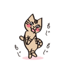とらねこライの日常編（個別スタンプ：6）