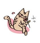 とらねこライの日常編（個別スタンプ：7）