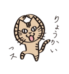 とらねこライの日常編（個別スタンプ：8）