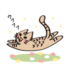 とらねこライの日常編（個別スタンプ：9）