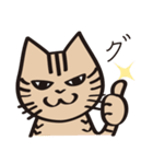 とらねこライの日常編（個別スタンプ：11）