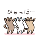 とらねこライの日常編（個別スタンプ：12）