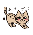 とらねこライの日常編（個別スタンプ：13）