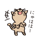 とらねこライの日常編（個別スタンプ：15）