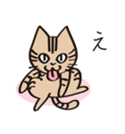 とらねこライの日常編（個別スタンプ：16）