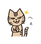 とらねこライの日常編（個別スタンプ：18）