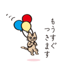 とらねこライの日常編（個別スタンプ：19）