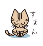 とらねこライの日常編（個別スタンプ：25）