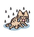 とらねこライの日常編（個別スタンプ：29）