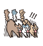 とらねこライの日常編（個別スタンプ：32）