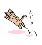 とらねこライの日常編（個別スタンプ：36）