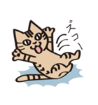 とらねこライの日常編（個別スタンプ：37）
