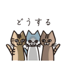 とらねこライの日常編（個別スタンプ：38）