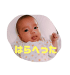 朋花ちゃん スタンプ（個別スタンプ：16）