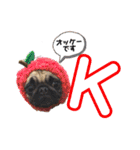 パグのpoohchan（個別スタンプ：4）