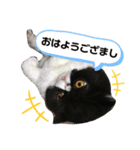 エキゾチックの博士スタンプ3（個別スタンプ：3）