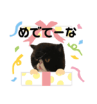 エキゾチックの博士スタンプ3（個別スタンプ：7）